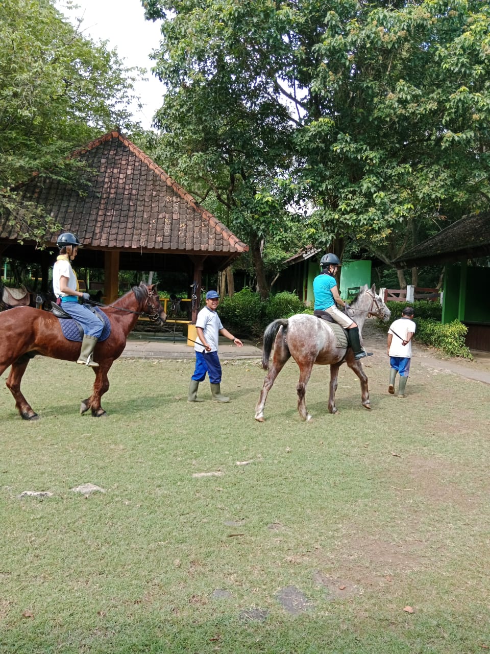 Horse riding activity
